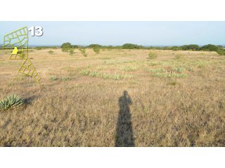 Property photo 72 - Mickle's Valley View Ranch and Canyon West Golf Club 506+/- Acres Offered in 27 Tracts in Weatherford, TX
